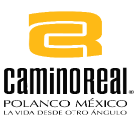 CaminoRealPolanco